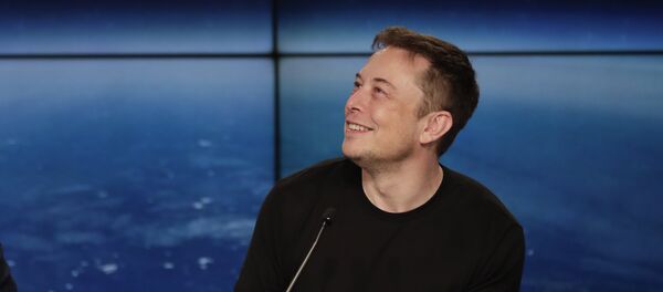 Elon Musk, founder, CEO, and lead designer of SpaceX - 俄羅斯衛星通訊社
