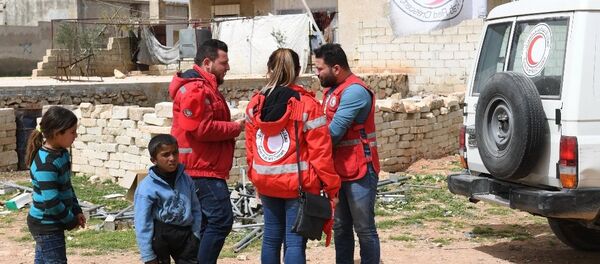 紅新月會 - 俄羅斯衛星通訊社