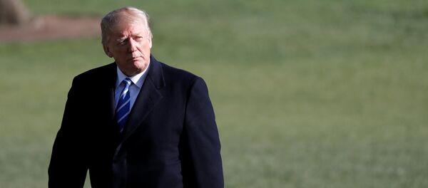 特朗普：美國在中美貿易關係中像個白痴 - 俄羅斯衛星通訊社