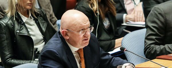 瓦西里∙涅邊賈 瓦西里∙涅邊賈 - 俄羅斯衛星通訊社