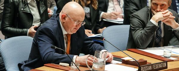 瓦西里∙涅边贾 瓦西里∙涅边贾 - 俄罗斯卫星通讯社