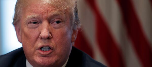 特朗普就習近平承諾降低汽車進口關稅表示感謝 特朗普就習近平承諾降低汽車進口關稅表示感謝 - 俄羅斯衛星通訊社