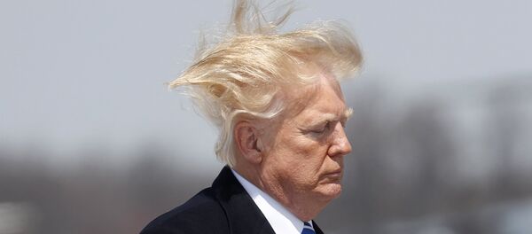 据白宫消息，美国总统特朗普取消对拉丁美洲的访问计划 - 俄罗斯卫星通讯社