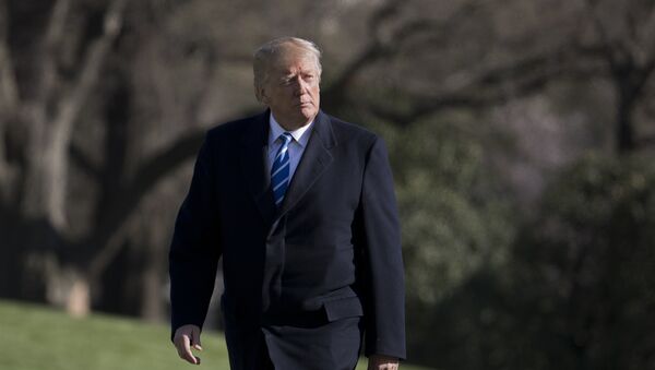 President Donald Trump walks on the South Lawn upon his return to the White House - 俄羅斯衛星通訊社