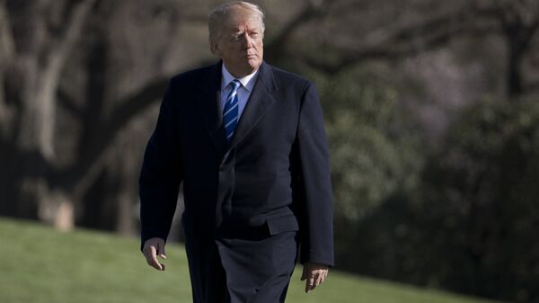 President Donald Trump walks on the South Lawn upon his return to the White House - 俄羅斯衛星通訊社