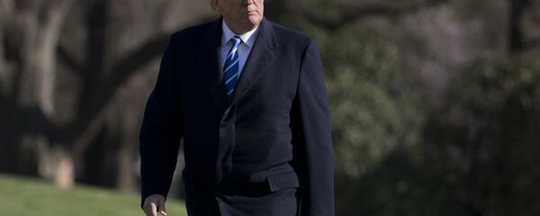 President Donald Trump walks on the South Lawn upon his return to the White House - 俄罗斯卫星通讯社