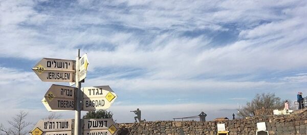 专家：美国或用海基和空基巡航导弹打击叙利亚 - 俄罗斯卫星通讯社