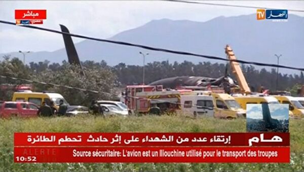 阿尔及利亚军机失事地区发现181名死者遗体 - 俄罗斯卫星通讯社