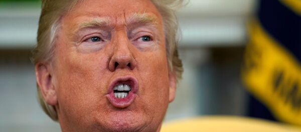 特朗普让俄罗斯对美国打击叙利亚做好准备 - 俄罗斯卫星通讯社