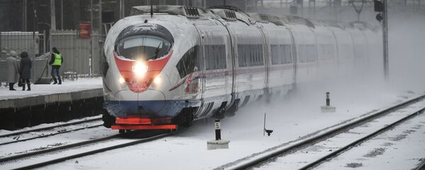 俄“游隼号”高铁优化服务以适应中国游客 - 俄罗斯卫星通讯社