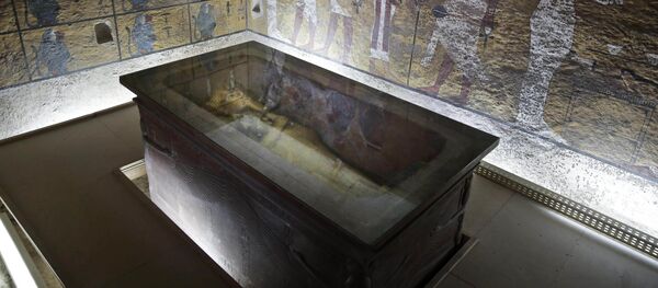 考古学家没有发现埃及法老图坦卡蒙陵墓中有密室 - 俄罗斯卫星通讯社