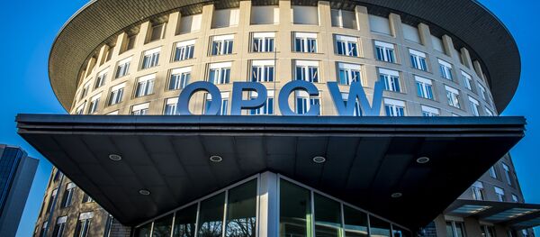 禁化武组织 - 俄罗斯卫星通讯社