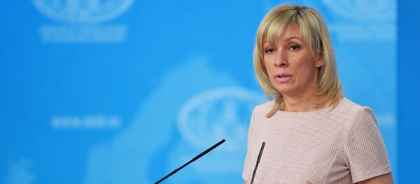 俄外交部：美國至今未提供馬航MH17客機在烏失事的衛星圖片 - 俄羅斯衛星通訊社