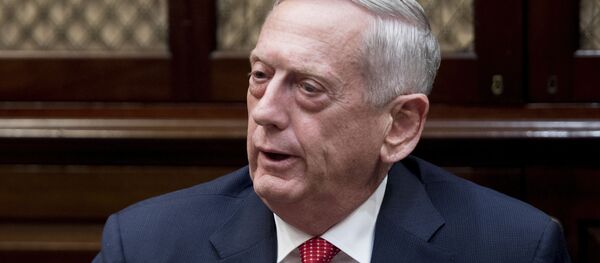 美国国防部长马蒂斯 - 俄罗斯卫星通讯社