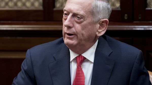 美国防部长：美国将扩大对叙利亚境内“伊斯兰国”的打击 - 俄罗斯卫星通讯社