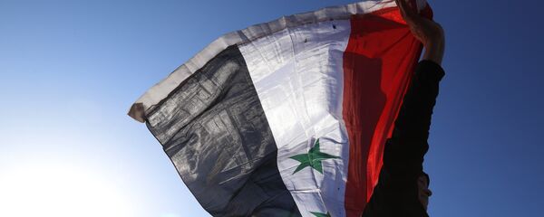 敘利亞 - 俄羅斯衛星通訊社