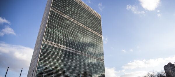 联合国 联合国 - 俄罗斯卫星通讯社