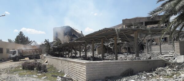 特朗普本打算打击叙境内俄伊设施 特朗普本打算打击叙境内俄伊设施 - 俄罗斯卫星通讯社