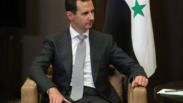 叙总统阿萨德否认有关使用化学武器的指责 - 俄罗斯卫星通讯社