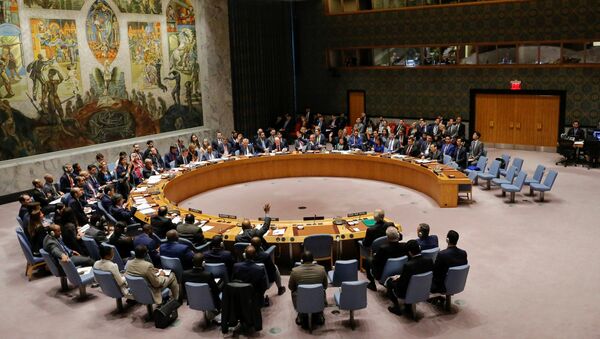 联合国安理会一致通过解除对厄立特里亚武器禁运的决议 - 俄罗斯卫星通讯社