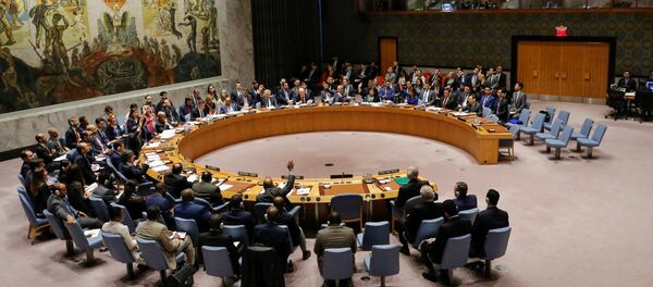 俄罗斯总统普京与印度总理莫迪发表联合声明，呼吁改革联合国安理会，反映当代全球现实 - 俄罗斯卫星通讯社