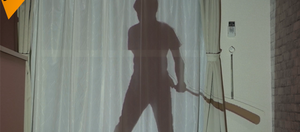 日本窗簾上將出現拳擊手 日本窗簾上將出現拳擊手 - 俄羅斯衛星通訊社