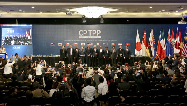 The signing ceremony of the Comprehensive and Progressive Agreement for Trans-Pacific Partnership - 俄罗斯卫星通讯社