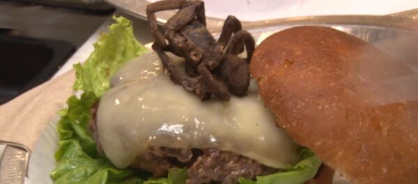 狼蛛汉堡你敢吃吗？ - 俄罗斯卫星通讯社