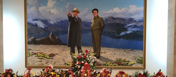 俄方執行安理會涉朝決議 但繼續同平壤保持合作 - 俄羅斯衛星通訊社