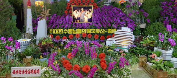 俄罗斯和巴勒斯坦大使向朝鲜领导人金正恩祝贺太阳节 - 俄罗斯卫星通讯社