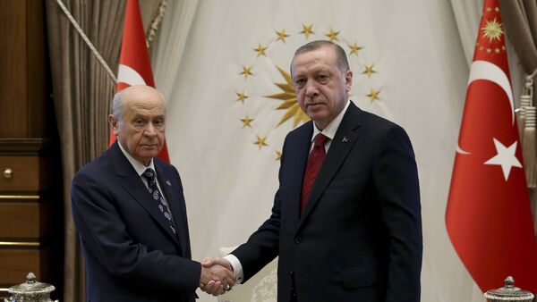 土耳其总统宣布将于6月24日提前举行总统和议会选举 - 俄罗斯卫星通讯社