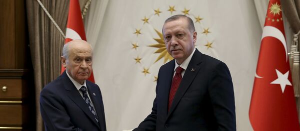 土耳其总统宣布将于6月24日提前举行总统和议会选举 - 俄罗斯卫星通讯社