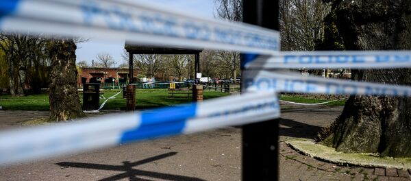 俄方对伦敦就斯克里帕利案给出的答复深感失望 - 俄罗斯卫星通讯社