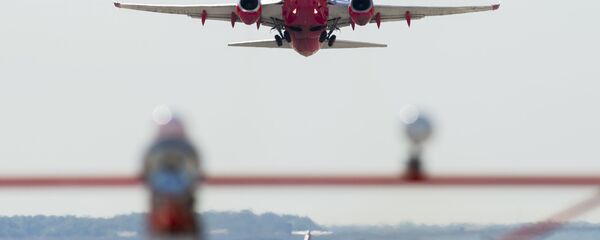 美国西南航空公司（Southwest Airlines）客机 - 俄罗斯卫星通讯社