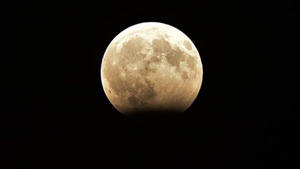 月球上发现生命特征 - 俄罗斯卫星通讯社