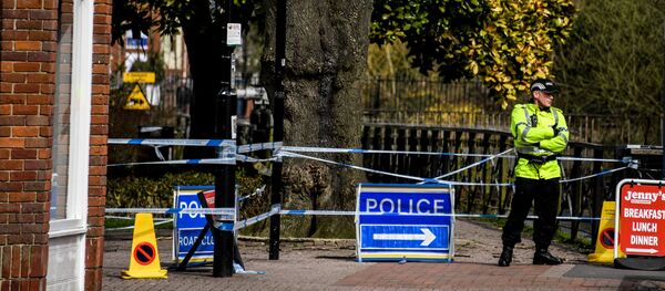 警方向斯科里帕利案关键证人出示可疑嫌疑人照片 - 俄罗斯卫星通讯社