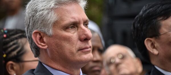 米格尔·迪亚斯-卡内尔 - 俄羅斯衛星通訊社