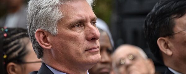 米格爾·迪亞斯-卡內爾 - 俄羅斯衛星通訊社