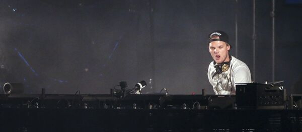 Avicii - 俄羅斯衛星通訊社