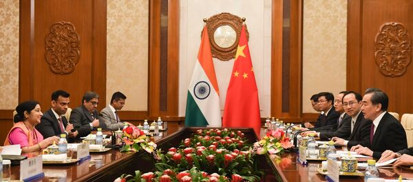 专家：中印欲在美挥舞贸易保护主义大棒时加强合作 - 俄罗斯卫星通讯社