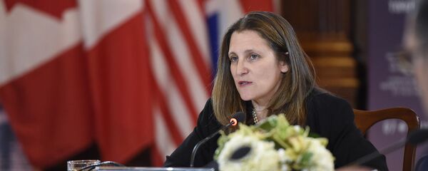 加拿大外长弗里兰德 - 俄罗斯卫星通讯社
