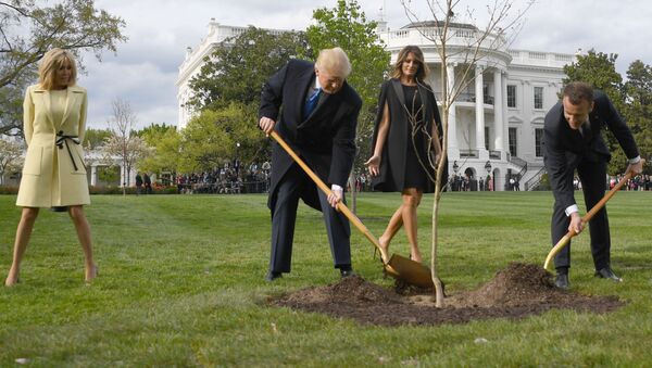 马克龙与特朗普在白宫花园共同种下橡树苗 - 俄罗斯卫星通讯社