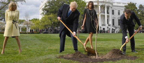 特朗普与马克龙合栽的“友谊之树”已死亡 - 俄罗斯卫星通讯社