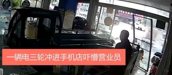 中國台州一隻小狗把主人貨車開進商店 - 俄羅斯衛星通訊社