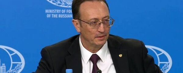 弗拉基米尔∙叶尔马科夫 - 俄罗斯卫星通讯社