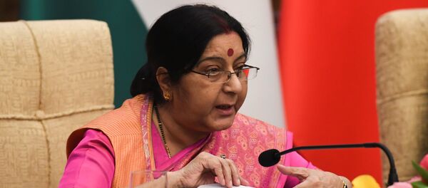 專家：一帶一路不可能讓中印吵起來 - 俄羅斯衛星通訊社