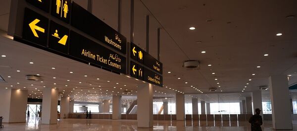 美国撤销巴基斯坦航空飞美许可 - 俄罗斯卫星通讯社