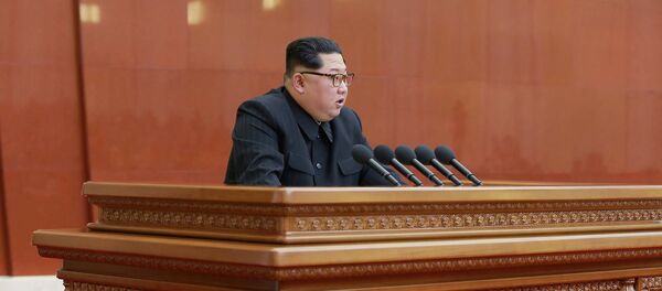 媒體：金正恩在美國情報機關眼中是個“有理智的人物”，並非“小丑” - 俄羅斯衛星通訊社