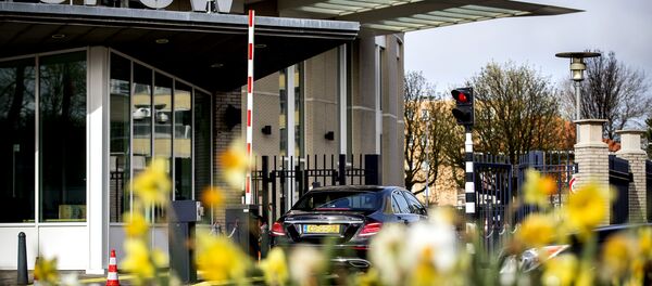 禁化武组织称正继续在叙杜马镇展开工作 谈及公布报告还为时尚早 - 俄罗斯卫星通讯社