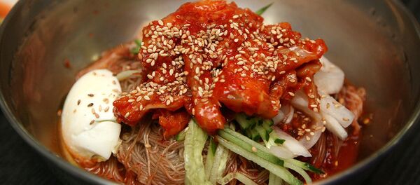 朝鲜冷面令韩国总统印象深刻 - 俄罗斯卫星通讯社